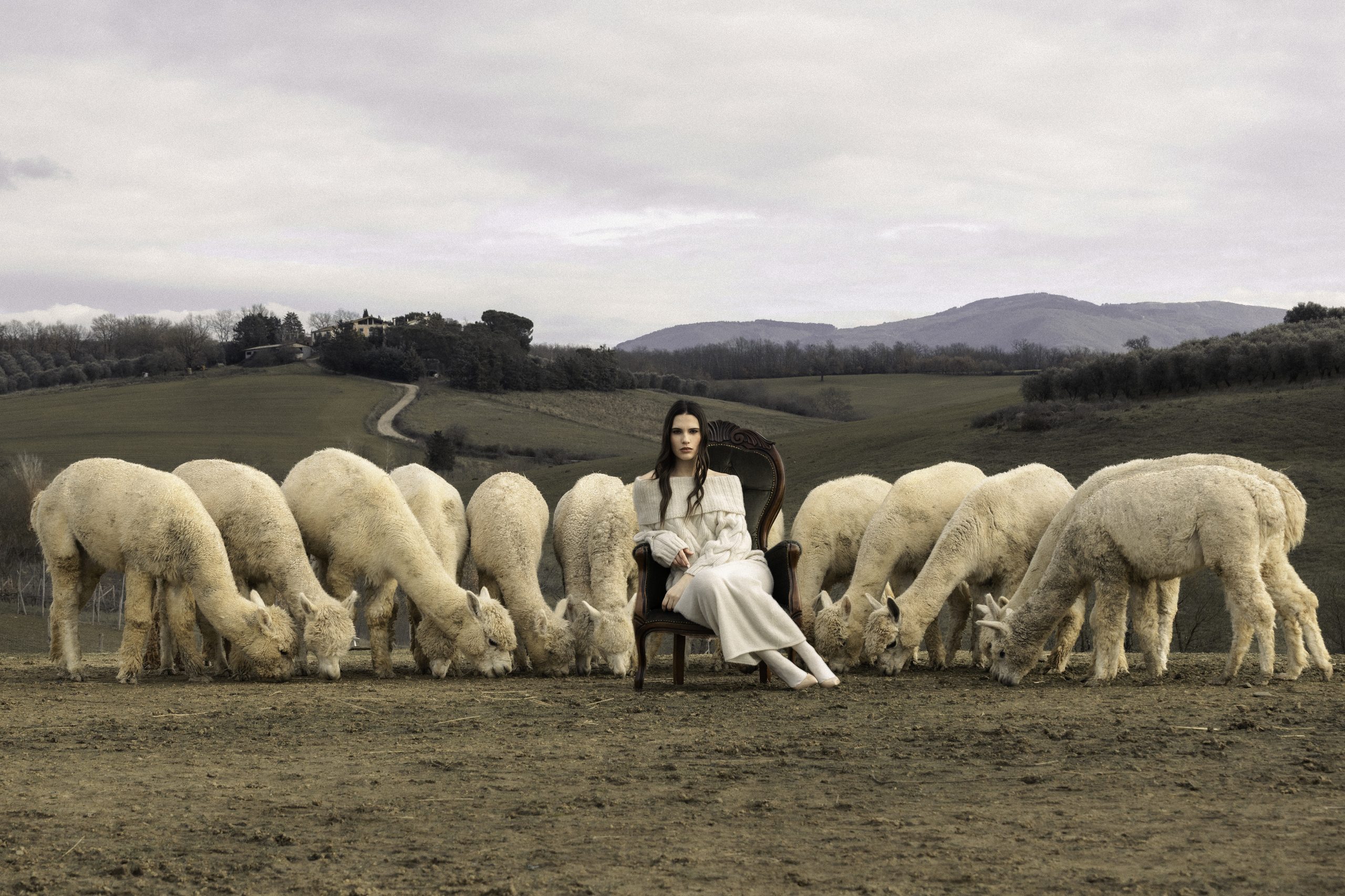 Linea Queen — Amabre